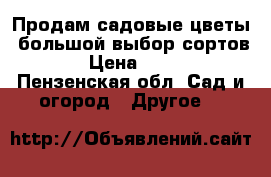Продам садовые цветы, большой выбор сортов. › Цена ­ 100 - Пензенская обл. Сад и огород » Другое   